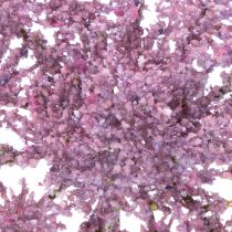 Prodotto Pianta artificiale di aneto in seta per un design d'interni moderno, 70 cm