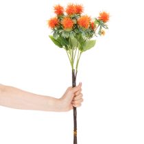 Prodotto Cartamo arancione artificiale, fiore artificiale per vasi e decorazioni, 55 cm, 4 pezzi