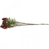 Prodotto Fiore artificiale di cardo rosso bordeaux 10 teste di fiori 68 cm 3 pezzi