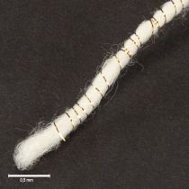 Prodotto Cordoncino di lana bianco con filo dorato 5m x 5mm con filo per decorazioni e lavori artigianali