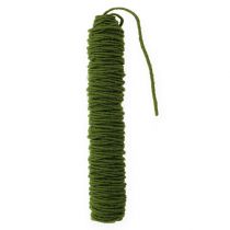 Prodotto Filo di stoppino cordone di feltro cordone di lana verde muschio Ø5mm 50m