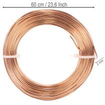 Prodotto Rotolo di filo di alluminio per lavori artigianali e floricoltura, 60 m, 500 g