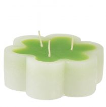 Candela a tre stoppini a forma di fiore bianco verde Ø11,5cm H4cm