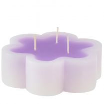 Candela a tre stoppini come candela a fiori viola bianco Ø11,5 cm H4 cm
