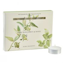 Prodotto Candele profumate lime bergamotto basilico Ø3,5 cm 12 pz