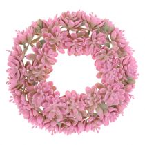 Echeverienkranz Rosa Ø18cm 4 pezzi