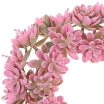 Echeverienkranz Rosa Ø18cm 4 pezzi