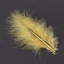 Prodotto Piume vere per lavori artigianali in giallo chiaro, 5 cm – 10 cm, 20 g