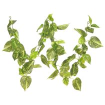 Prodotto Ghirlanda di edera pianta di edera artificiale in verde L170cm 2 pezzi