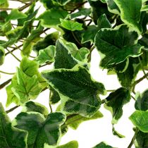 Appendiabiti Ivy real-touch verde-bianco 130cm