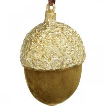 Prodotto Ghiande da appendere, Avvento, decorazione per albero, decorazione autunnale H6,5cm Ø4cm 6 pz
