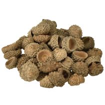 Prodotto Cappelli di ghianda ghiande decorative naturali per lavori artigianali 1,5 cm 200 g