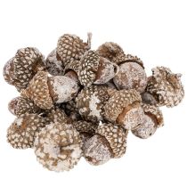 Prodotto Ghiande, prodotto naturale decorativo, sbiancate, 1-3 cm, 300 g