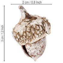 Prodotto Ghiande, prodotto naturale decorativo, sbiancate, 1-3 cm, 300 g