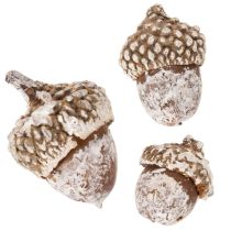 Prodotto Ghiande, prodotto naturale decorativo, sbiancate, 1-3 cm, 300 g