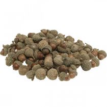 Ghiande per decorare, decorazioni autunnali, frutti autunnali ovviamente Ø1,5 - 2,5cm L1,5 - 3cm 300g