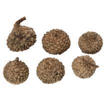 Prodotto Tappi di ghianda naturali, ciotole decorative per l'autunno e l'Avvento, 2 cm, 300 g