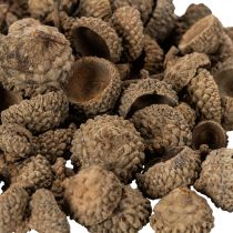 Prodotto Tappi di ghianda naturali, ciotole decorative per l'autunno e l'Avvento, 2 cm, 300 g