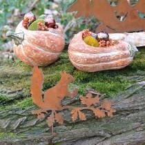 Prodotto Picchetti da giardino scoiattolo su ramo metallo patinato H42cm 3pz