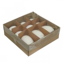 Prodotto Mix di uova di cigno e uova di gallina, uova soffiate, bianche, 5,5/8 cm, 9 pezzi