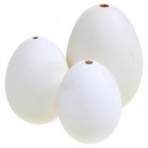 Prodotto Mix di uova di cigno e uova di gallina, uova soffiate, bianche, 5,5/8 cm, 9 pezzi