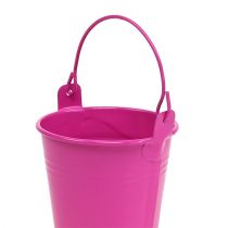 Prodotto Secchiello colorato Ø8cm H7,5cm 12 pezzi