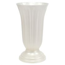 Prodotto Vaso Lilia madreperla Ø28cm, 1pz