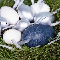 Prodotto Emu egg natural 12cm - 14cm 1p