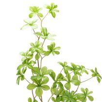 Prodotto Ramo artificiale di Schefflera, elegante decorazione vegetale per spazi abitativi, 95 cm