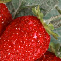 Prodotto Decorazione di fragole Fragole artificiali L23cm 1 mazzo 6 pezzi