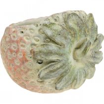Prodotto Fragola decorativa, vaso per piante, decorazione in cemento per piantare L17cm