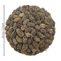 Prodotto Palla decorativa di pigne di ontano da appendere, sbiancata, 20 cm