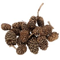 Prodotto Pigne di ontano, prodotto naturale per decorazione e artigianato, colore oro, 3 cm, 300 g