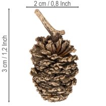 Prodotto Pigne di ontano, prodotto naturale per decorazione e artigianato, colore oro, 3 cm, 300 g