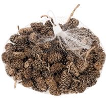 Prodotto Pigne di ontano, prodotto naturale per decorazione e artigianato, colore oro, 3 cm, 300 g