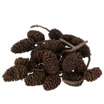 Prodotto Pigne di ontano naturali, sfuse, decorative, 3 cm, 300 g, marrone naturale.