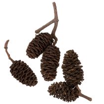 Prodotto Pigne di ontano naturali, sfuse, decorative, 3 cm, 300 g, marrone naturale.