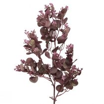 Prodotto Ramo artificiale decorativo Ramo di eucalipto bordeaux 66 cm 2 pezzi
