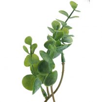 Ramo di eucalipto artificiale verde 37cm 6pz