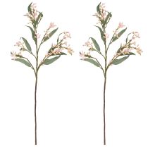 Prodotto Eucalipto artificiale ramo foglie boccioli 75 cm 2 pezzi