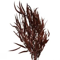 Prodotto Rami di eucalipto conservati, rosso, marrone, 56 cm, 135 g