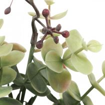 Prodotto Cespuglio di eucalipto eucalipto artificiale verde rosso 39 cm