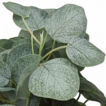Cespuglio di eucalipto foglie di eucalipto artificiale verde 45 cm