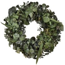 Prodotto Corona di eucalipto corona naturale eucalipto conservato Ø35cm