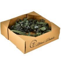 Prodotto Corona di eucalipto naturale Ø35cm decorazione profumata stabilizzata