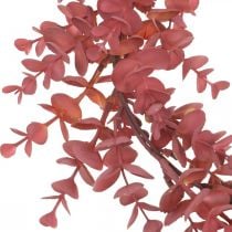 Prodotto Ghirlanda decorativa eucalipto rosso Ghirlanda di eucalipto artificiale Ø32cm