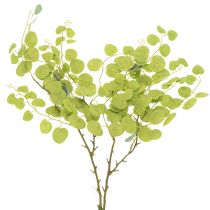 Prodotto Ramo decorativo di eucalipto, ideale come decorazione da tavola, 120 cm