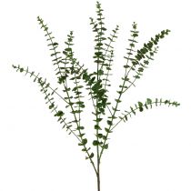 Prodotto Ramo di eucalipto verde 130cm