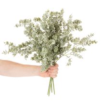 Prodotto Ramo artificiale di eucalipto, ramo decorativo per vasi e bouquet, 49 cm, 4 pezzi