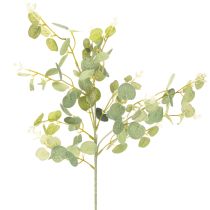 Prodotto Ramo artificiale di eucalipto con foglie rotonde, 75 cm, 4 pezzi